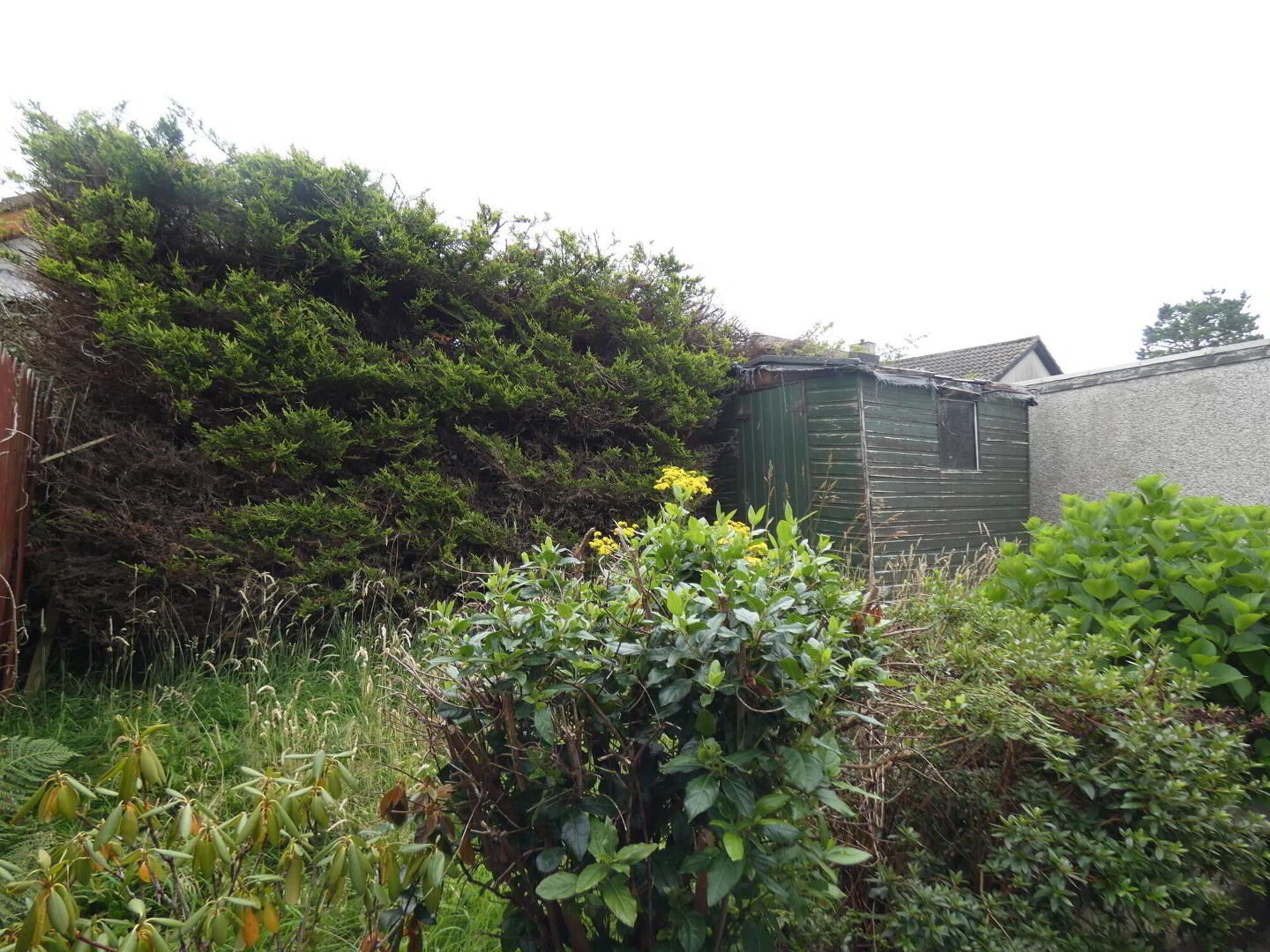 5 Agherton Gardens 18 of 18