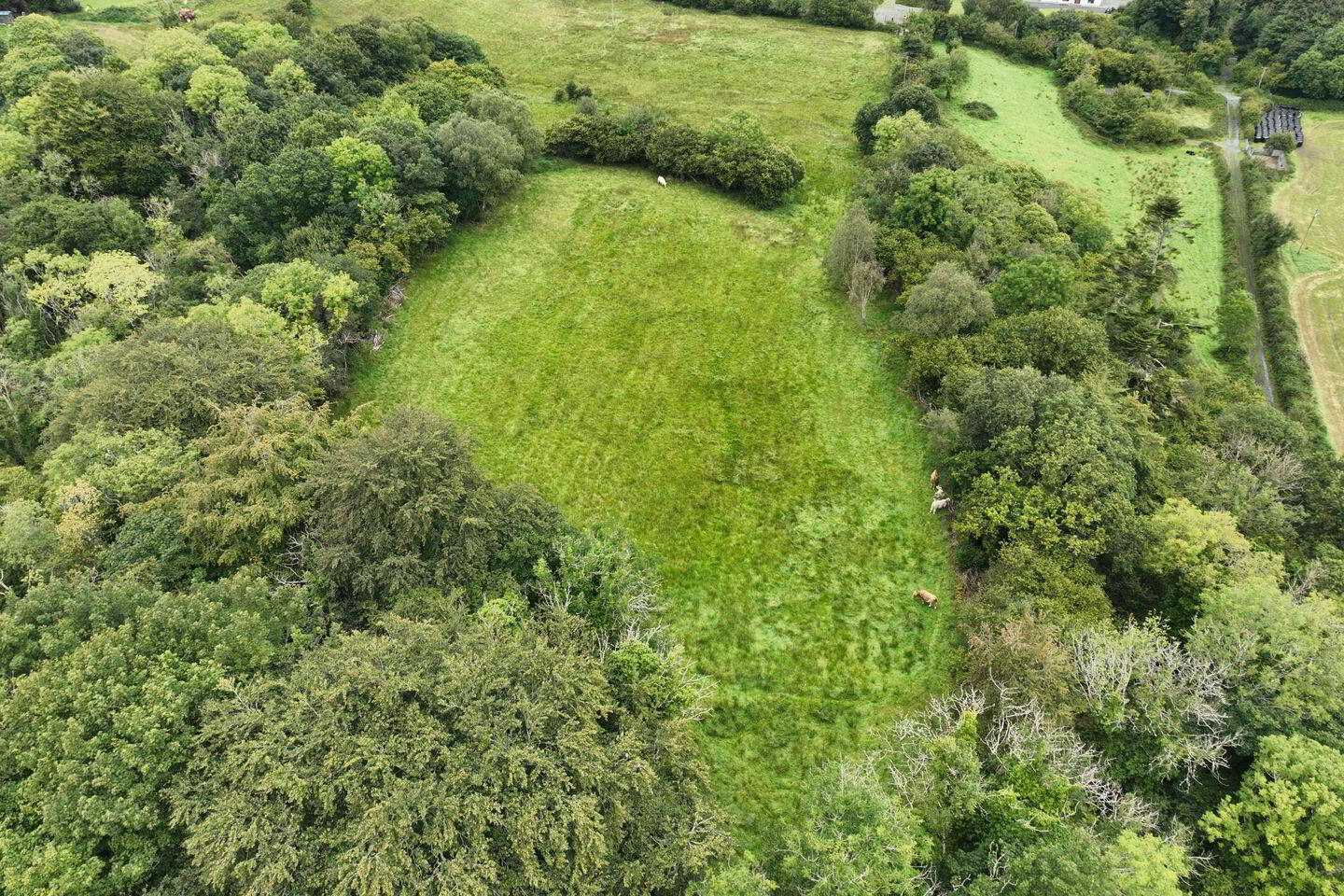 Clogher Beg 8 of 8