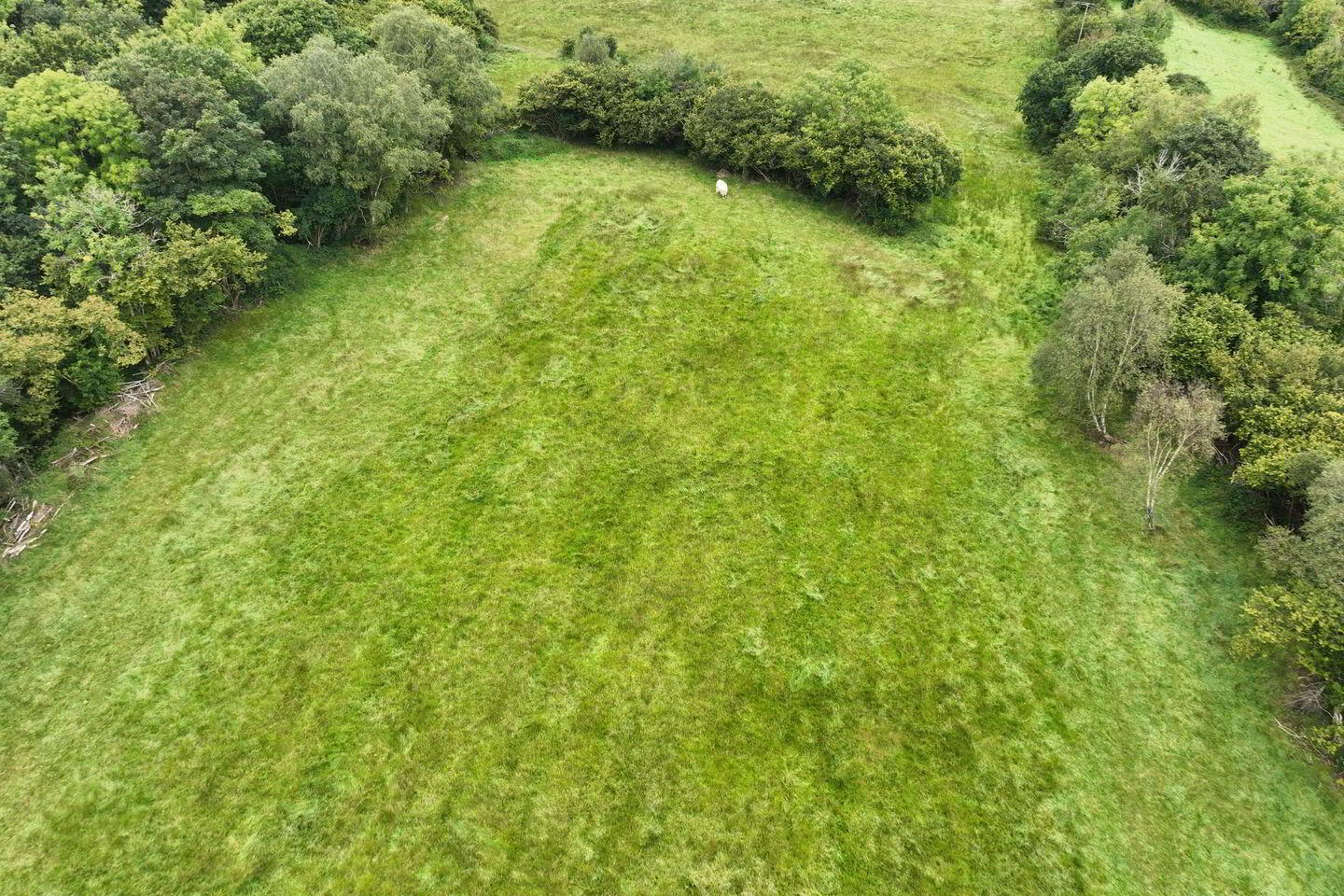 Clogher Beg 2 of 8