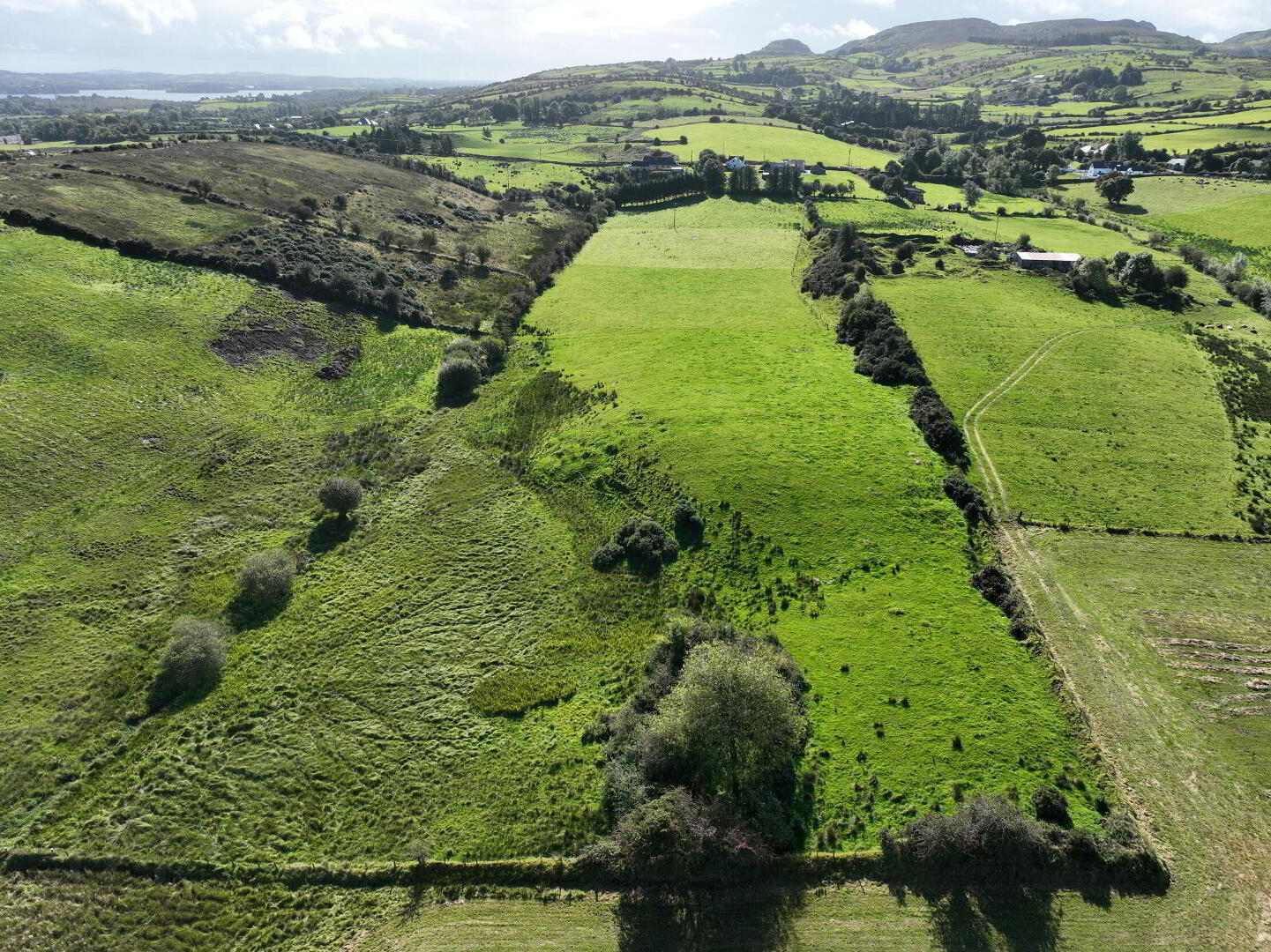 Cleavry 6 of 7