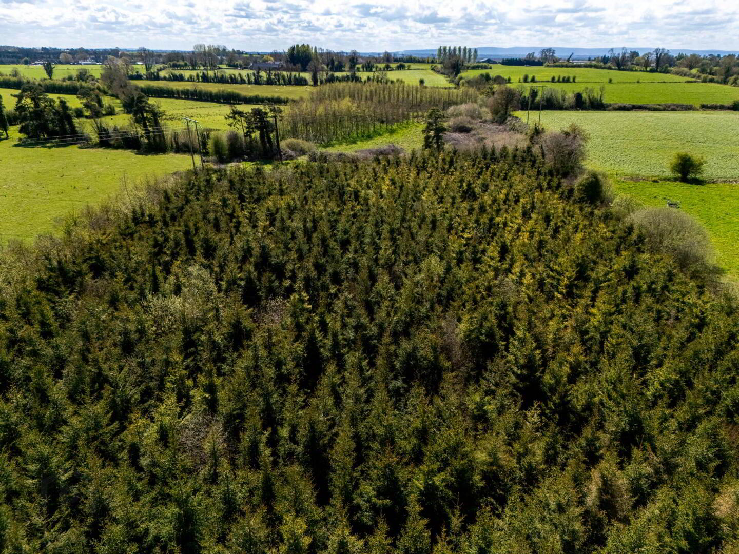 Kilmurry 12 of 13
