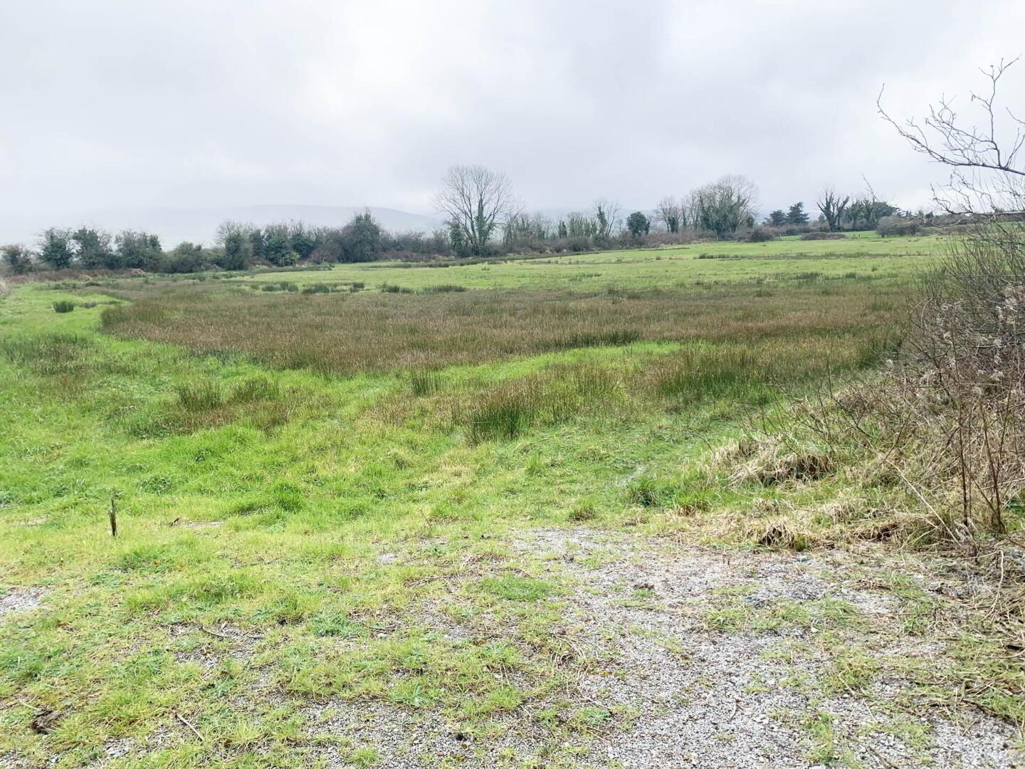 Ballinahown 2 of 3