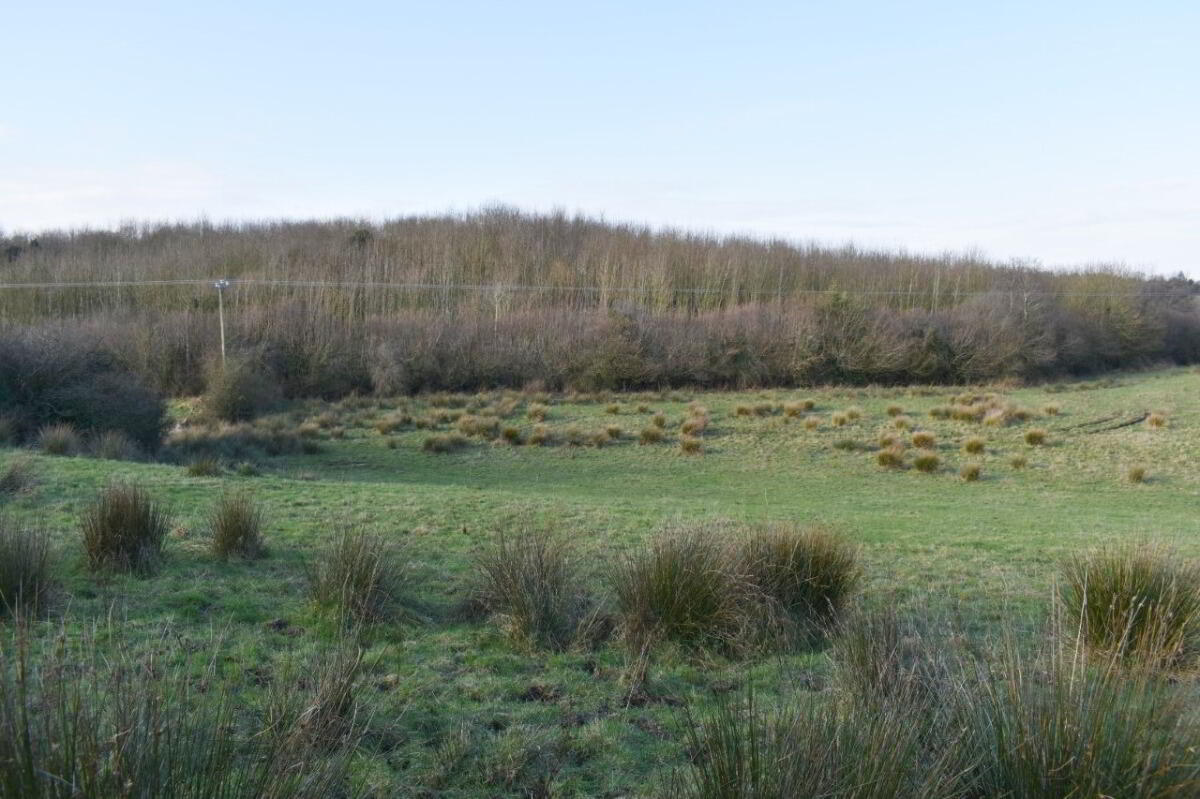 Building Site, West On Lisnagleer Road ( 6.2 Acres) 3 of 19