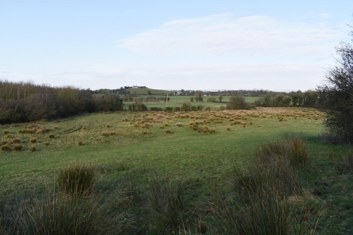 Building Site, West On Lisnagleer Road ( 6.2 Acres) 2 of 19