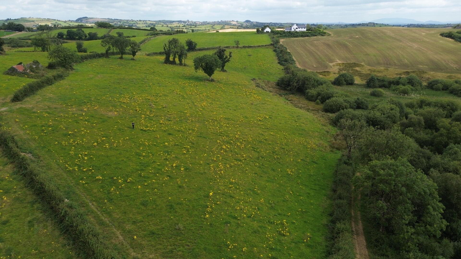Cornalaragh 6 of 7