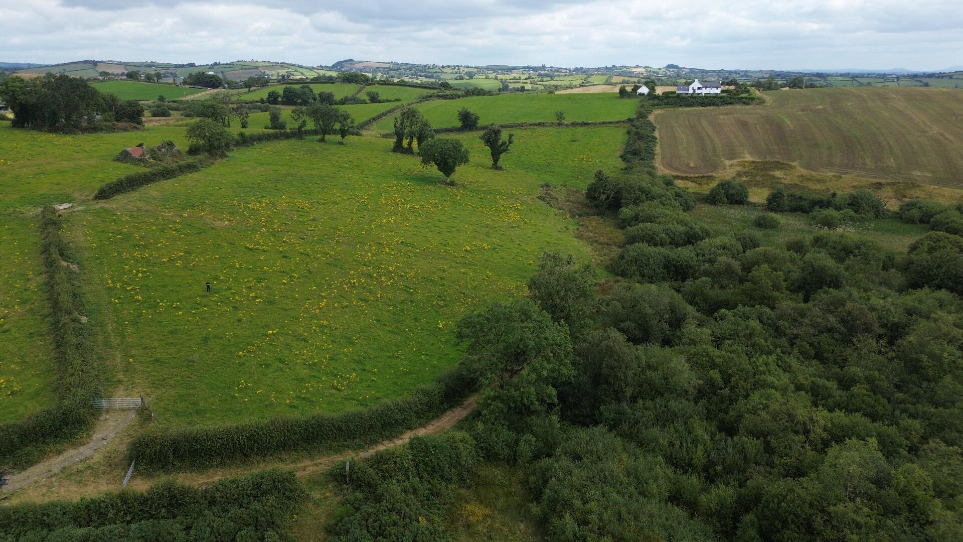 Cornalaragh 7 of 7