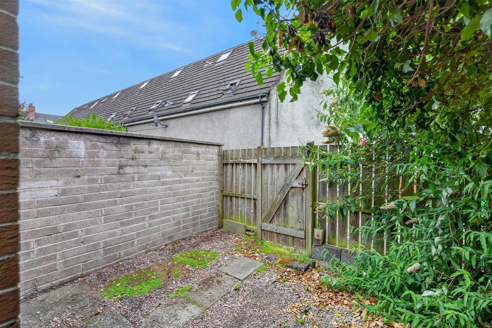 3 Lorne Street 20 of 21