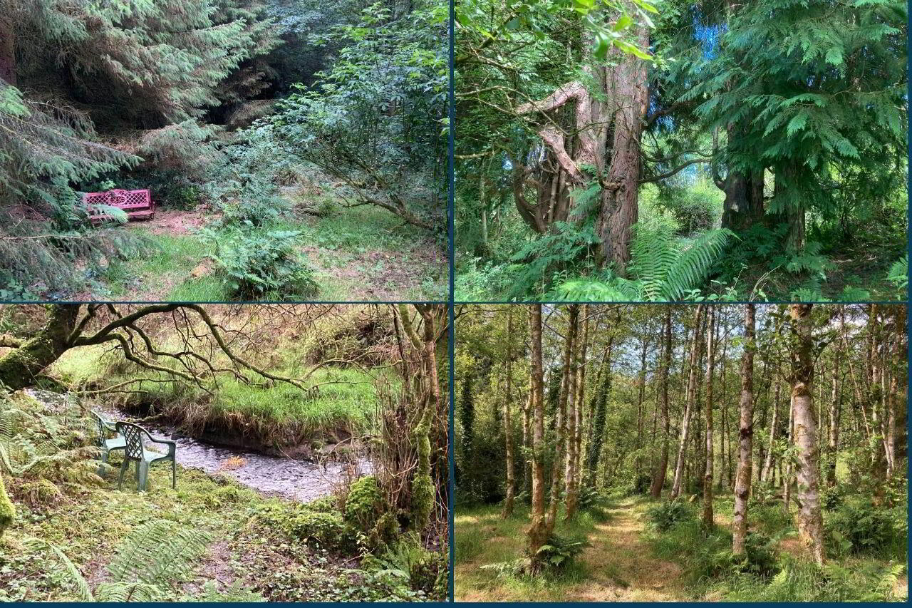 Cragg 13 of 13