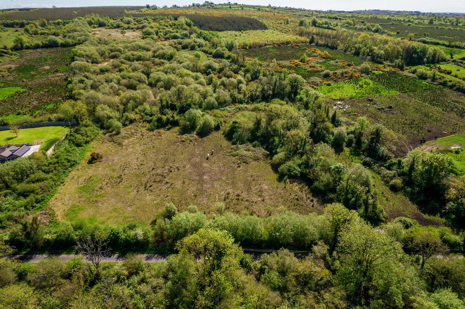 Land, Carrigeen And Kilgarve 18 of 18