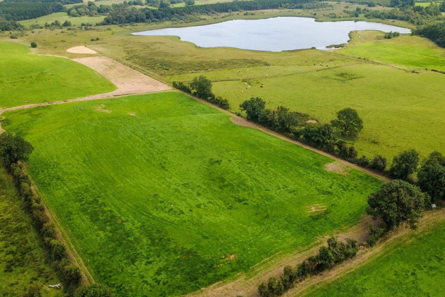 Eco Acres 4 of 4