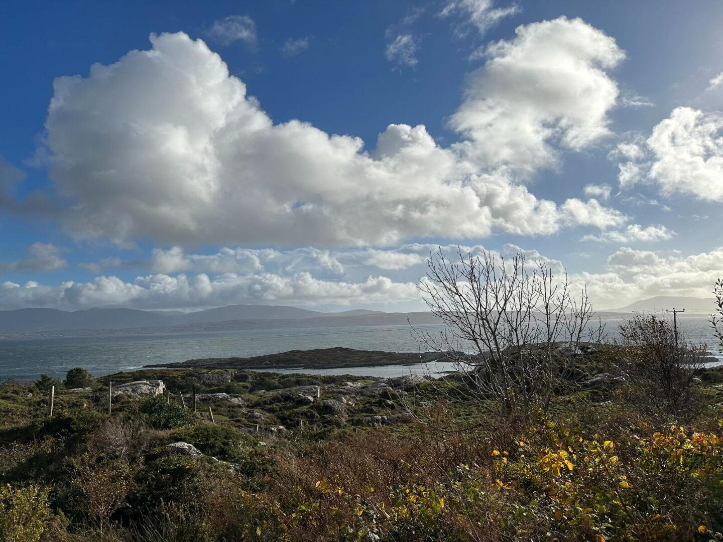 Castlecove 13 of 13