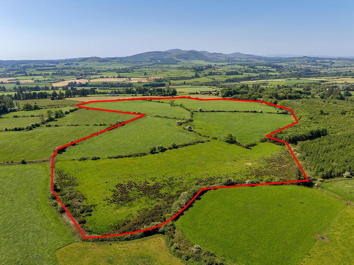 Circa 40 Acres, Touraneena 6 of 6