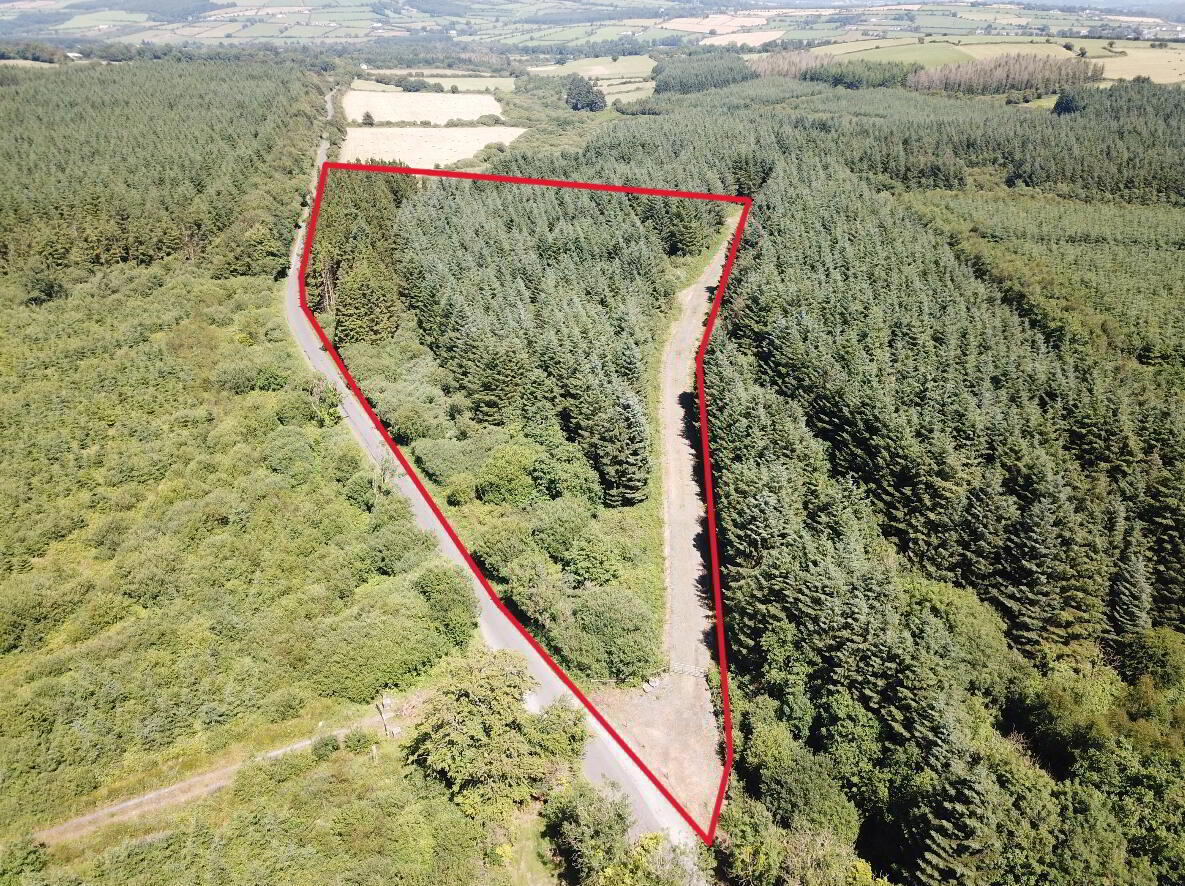 Forestry Land At Smithstown 2 of 5