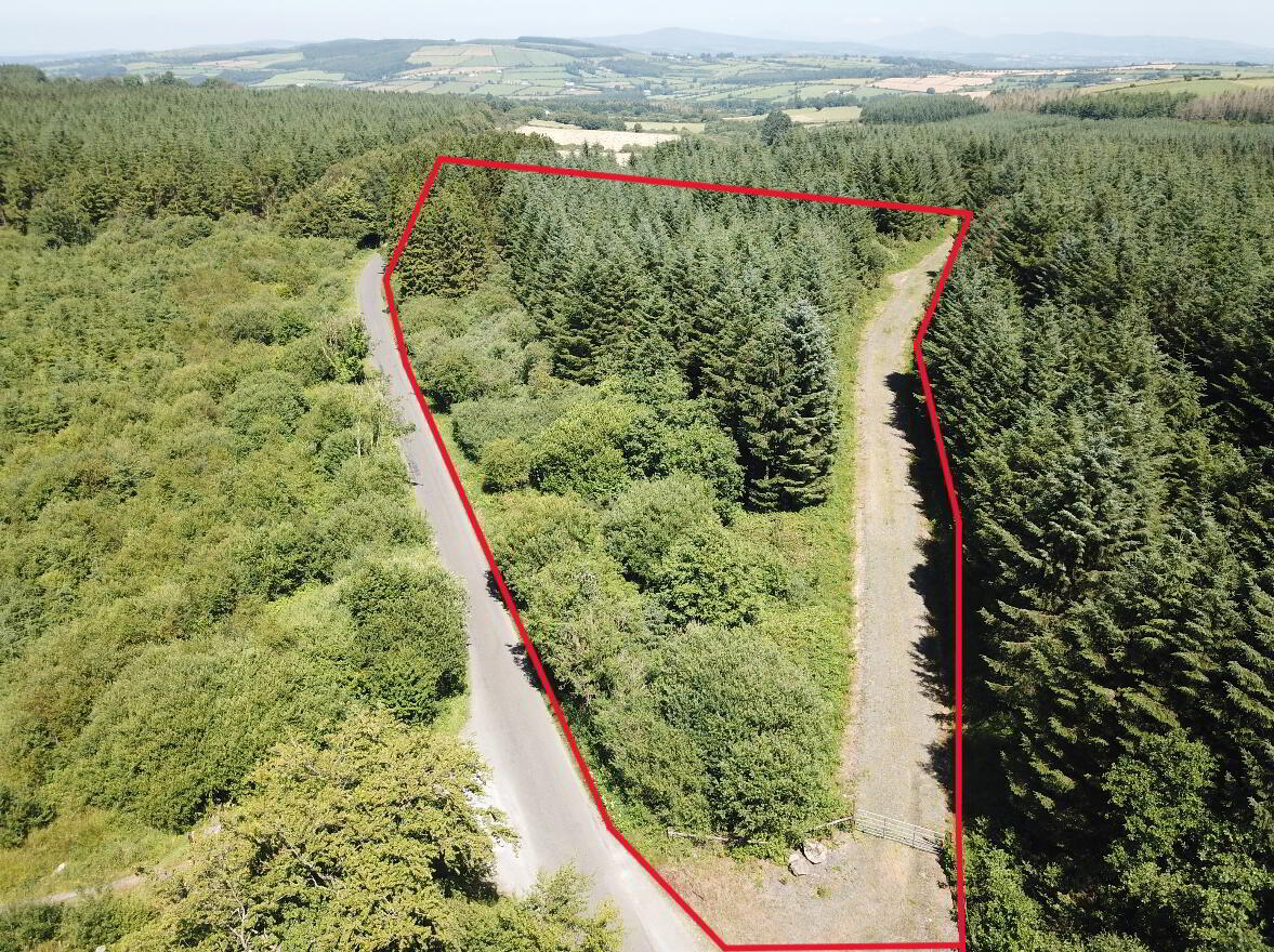 Forestry Land At Smithstown 3 of 5