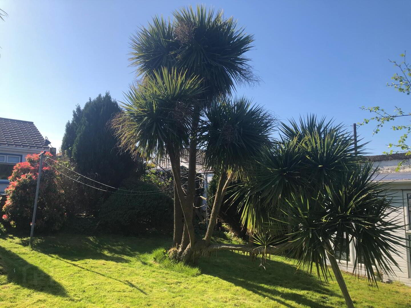 Two Bungalows For Sale, Station Road 31 of 32