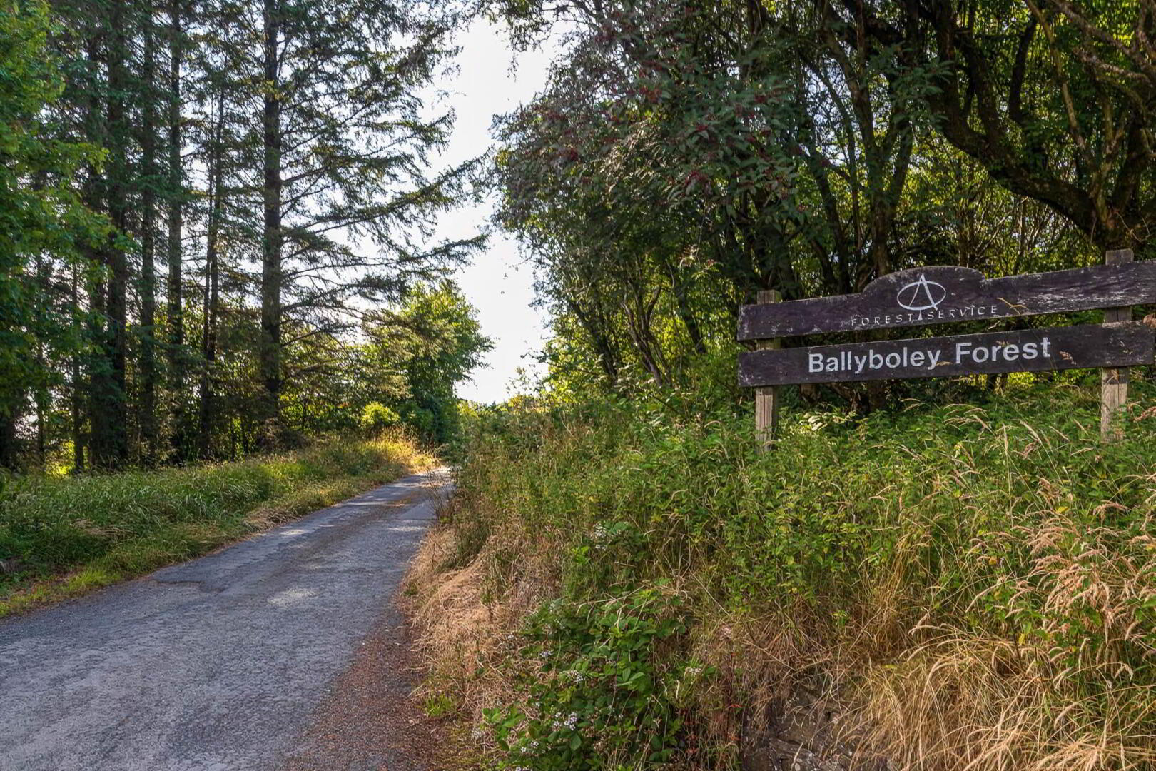 38 Upper Ballyboley Road 42 of 43