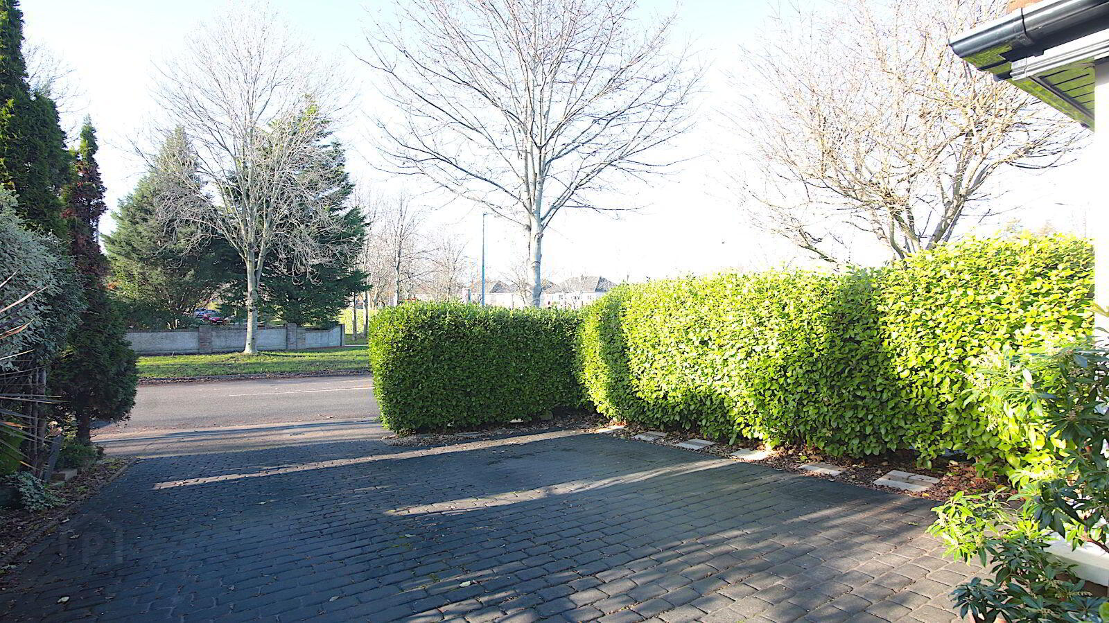39 The Drive 26 of 27