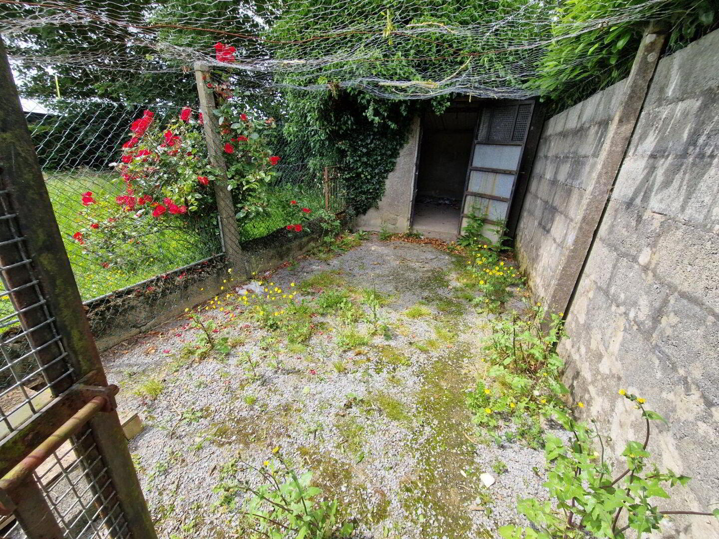 2 Carrigeen 19 of 20