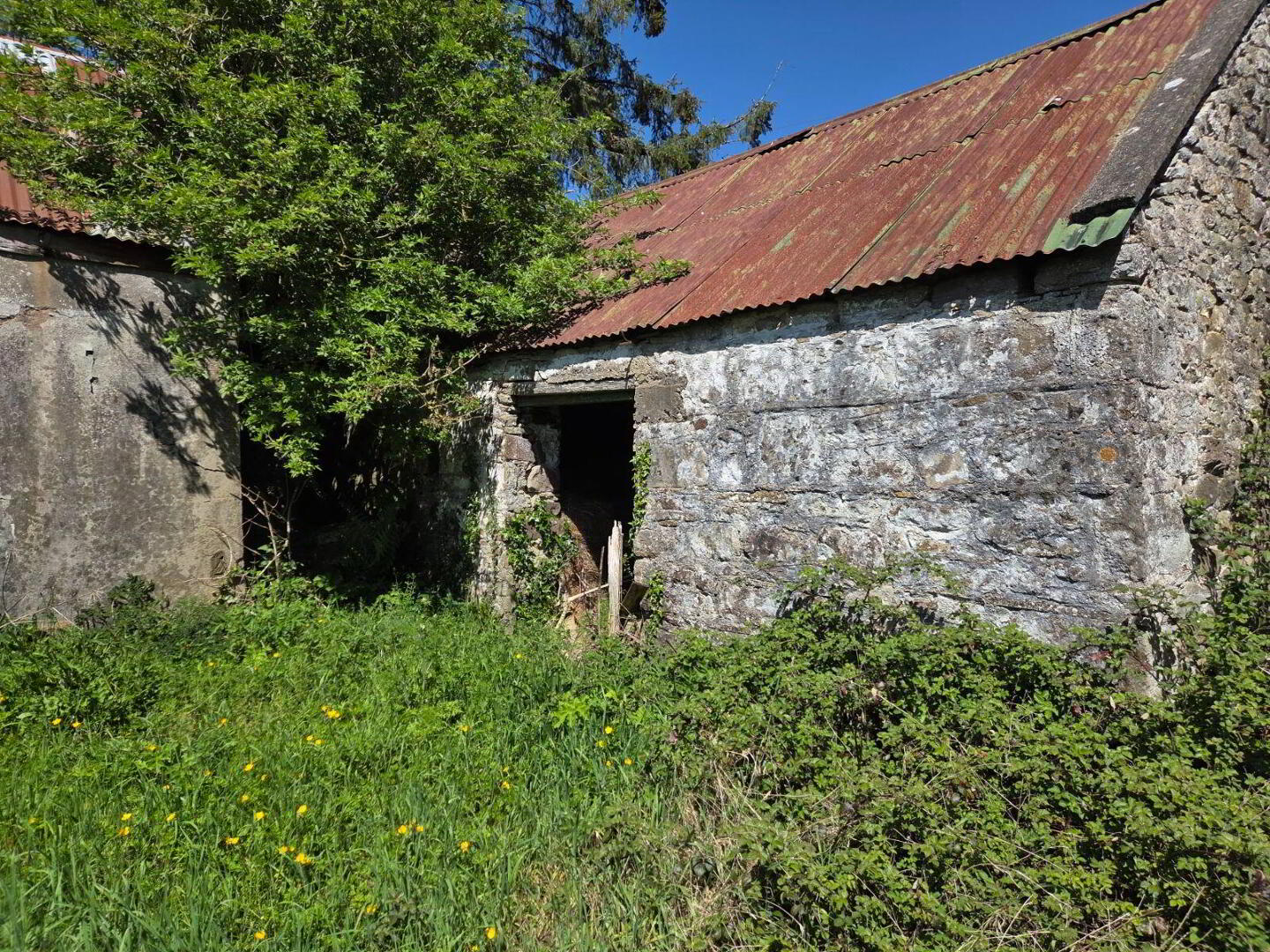 Clogheenafishoge 2 of 5