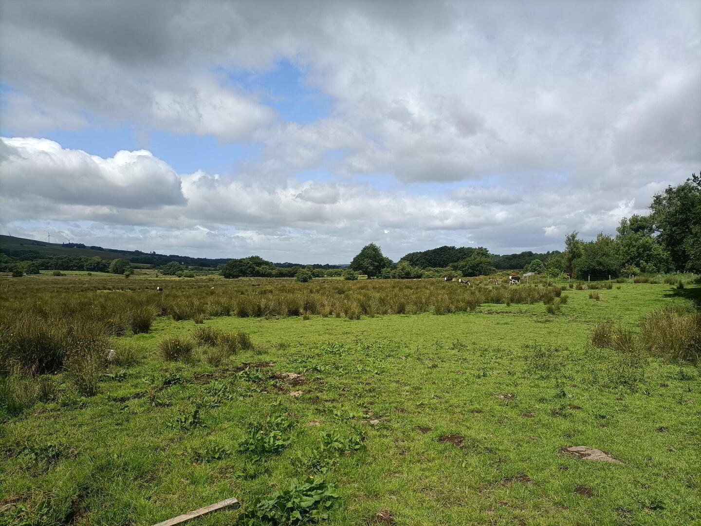 134 Ballynashee Road 4 of 5