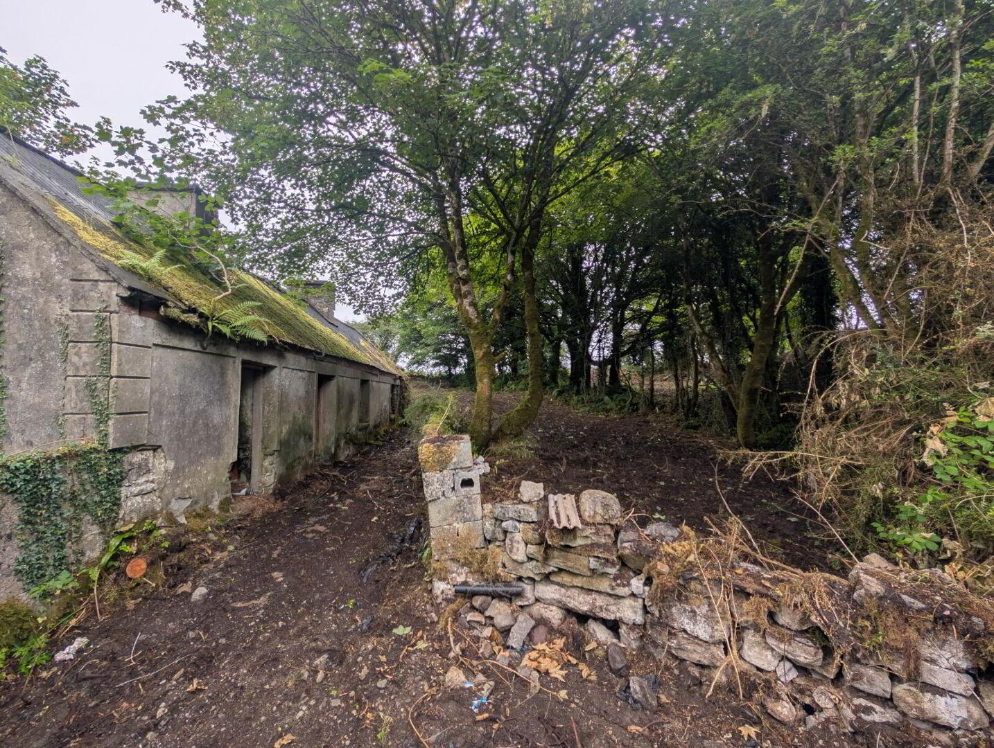 Derelict Property 15 of 15