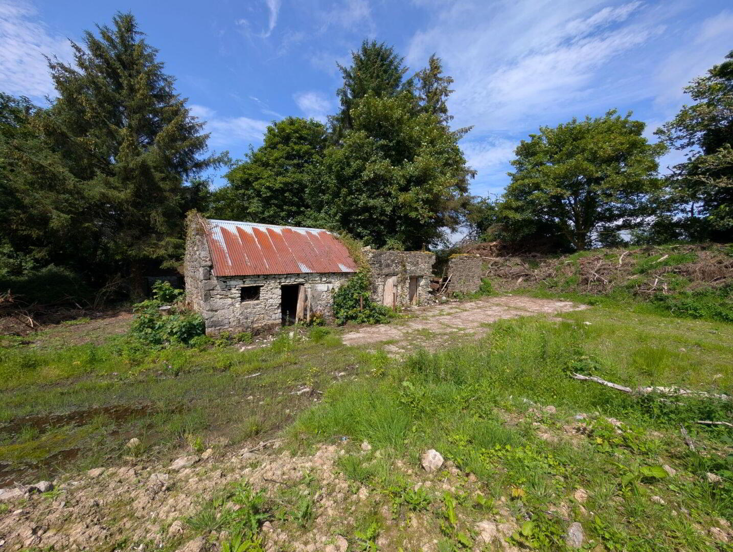 Derelict Cottage 11 of 12