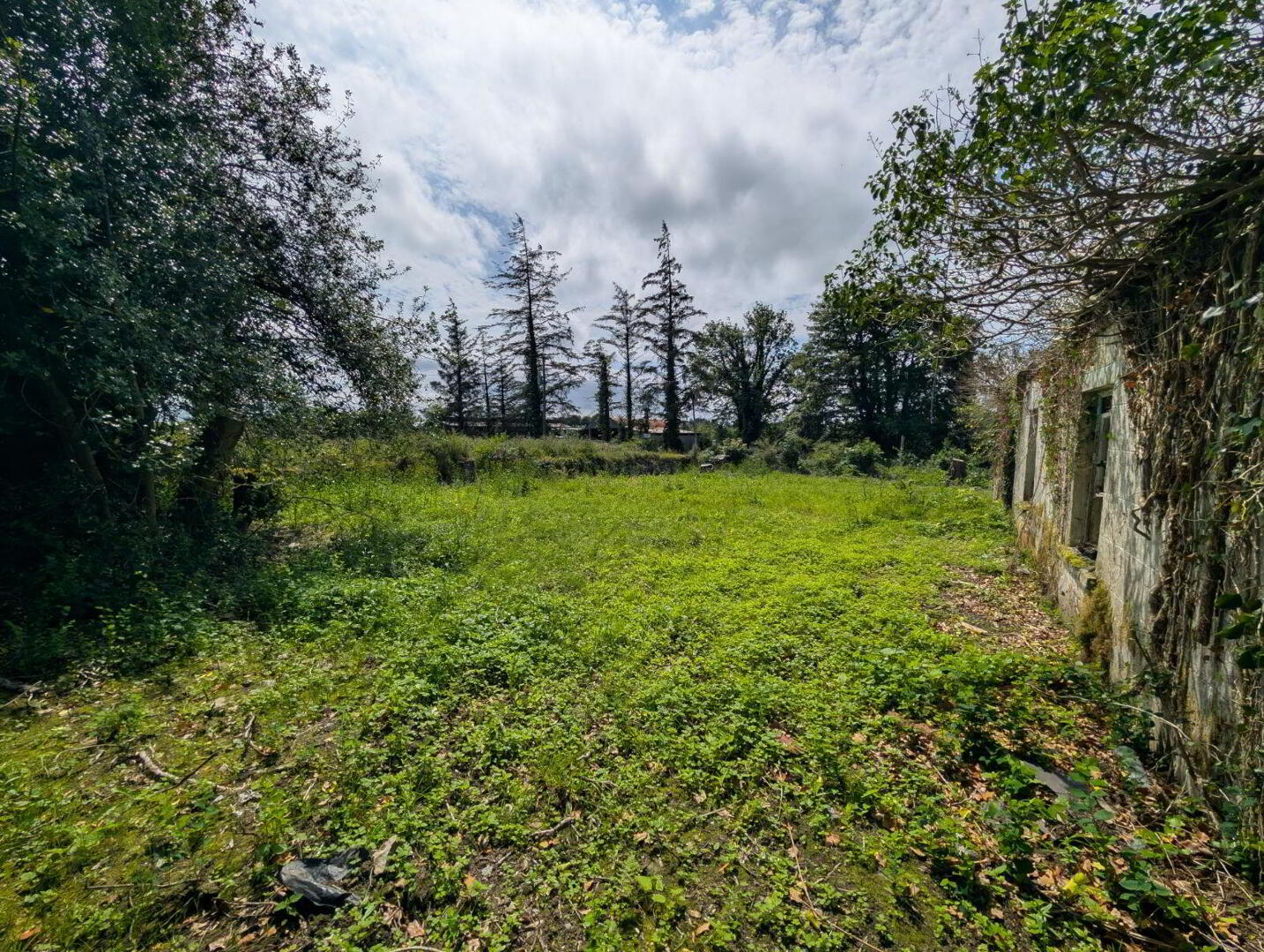 Derelict Cottage 12 of 12