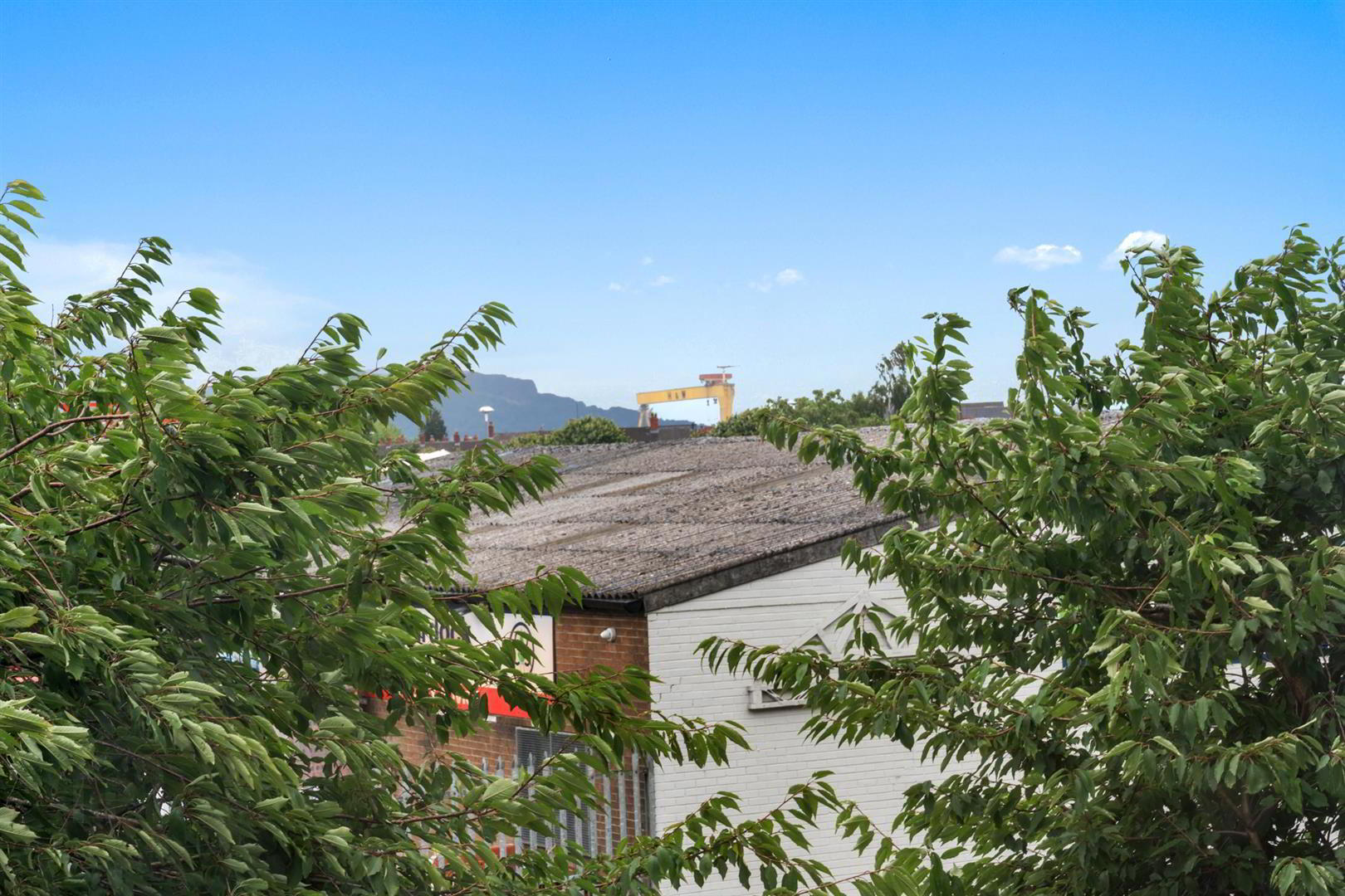 Apt 17 The Courtyard, 222 Castlereagh Road 25 of 26