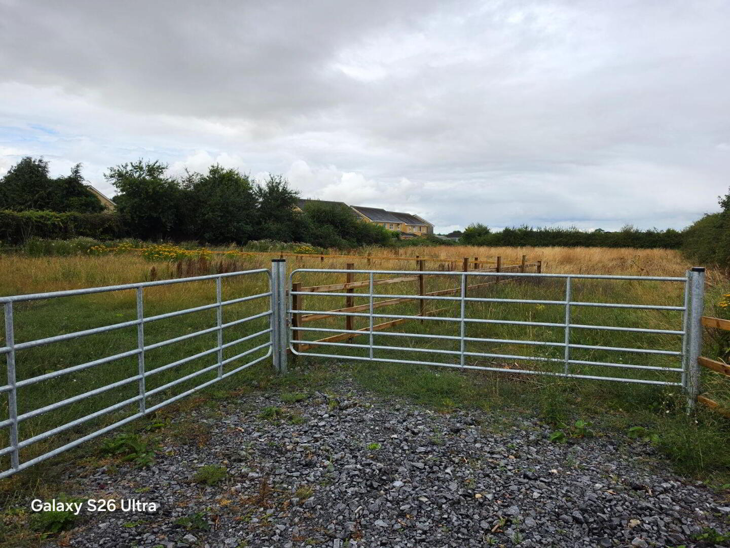 Carlow Road Ballylynan 4 of 4