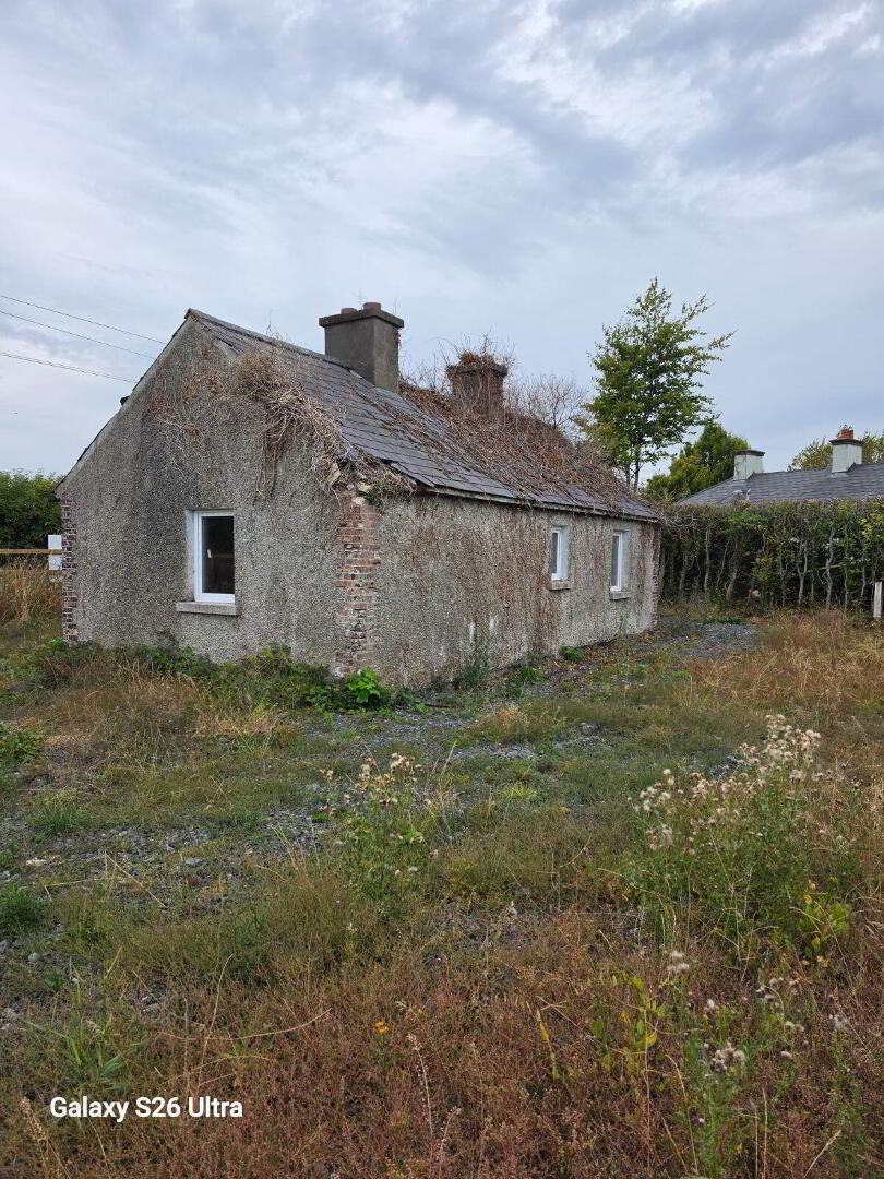 Carlow Road Ballylynan 8 of 8