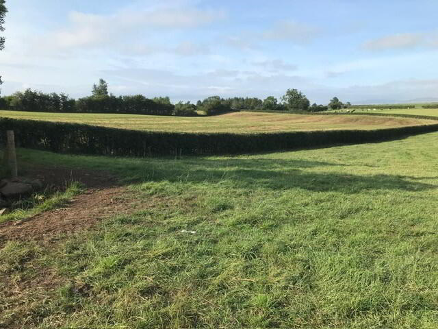 'Duneany', Bridge Road 7 of 8