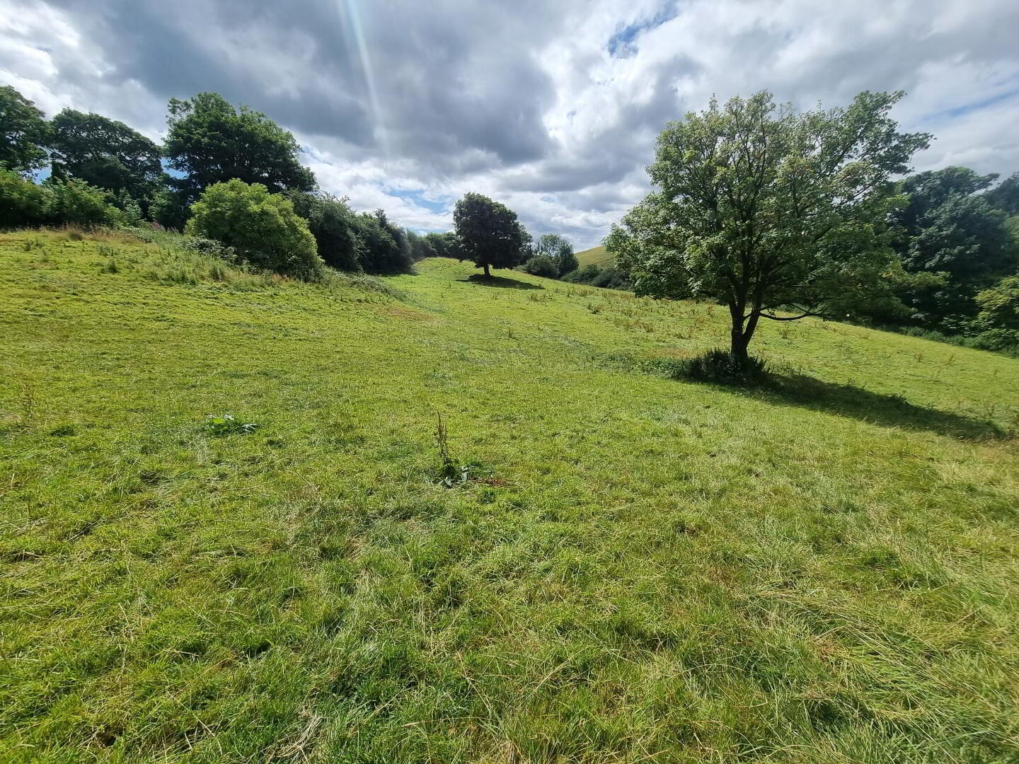 C.9acres And Derelict Cottage 8 of 9