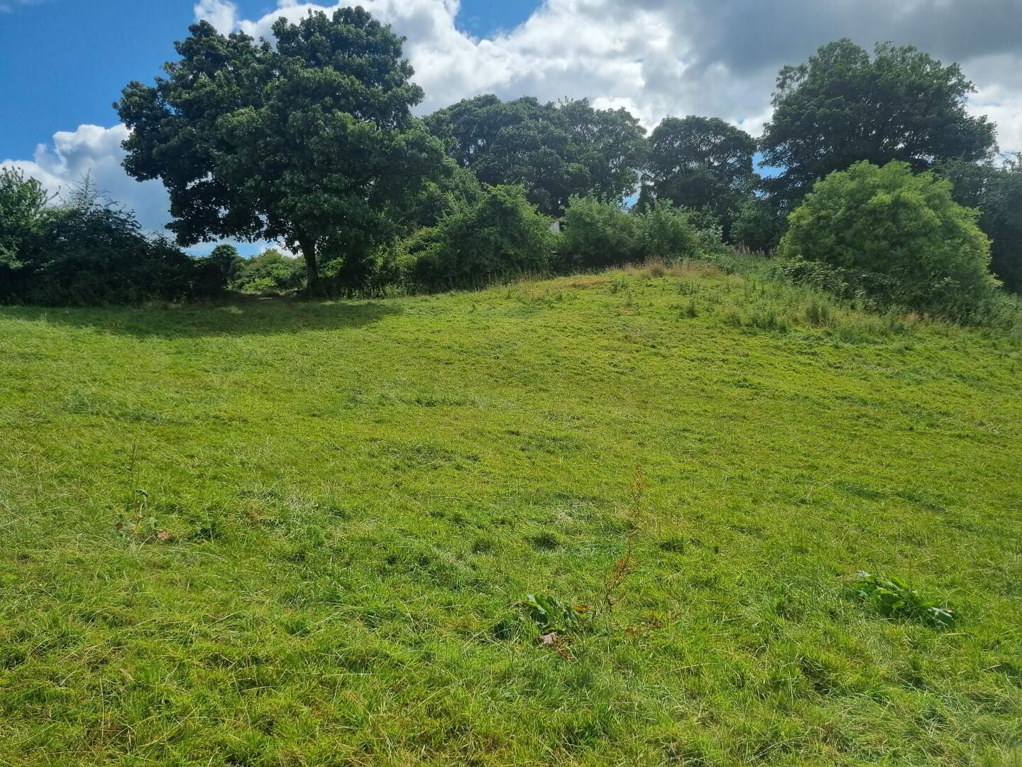 C.9acres And Derelict Cottage 9 of 9