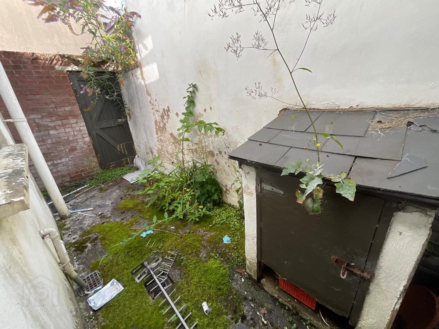 9 Woodvale Street 8 of 8