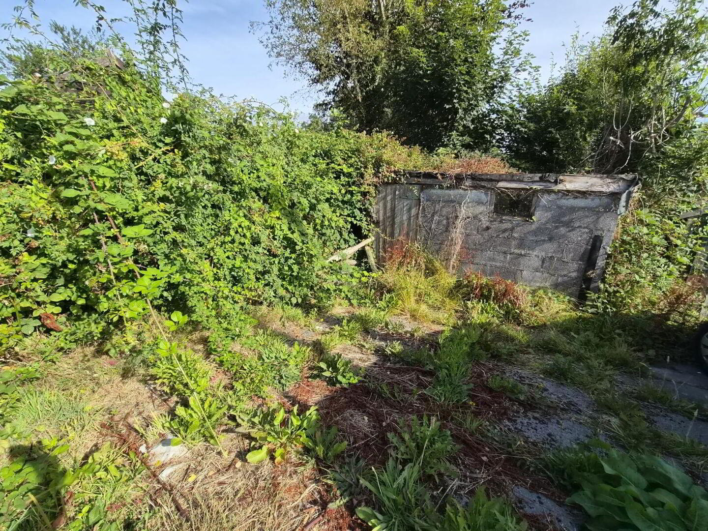 20 Donnybrook Cottages 17 of 18