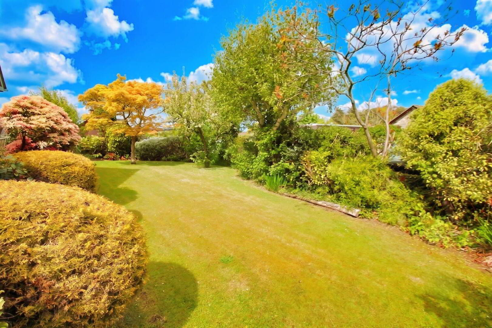 11 Ardmore Road 3 of 22