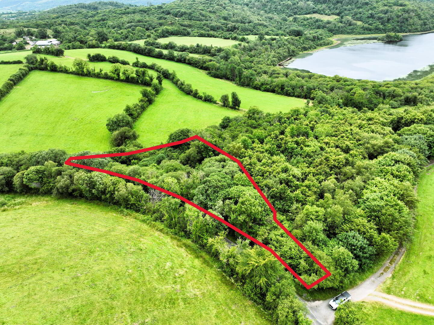 C. 1.15 Ac Woodland @ Drumary 1 of 7
