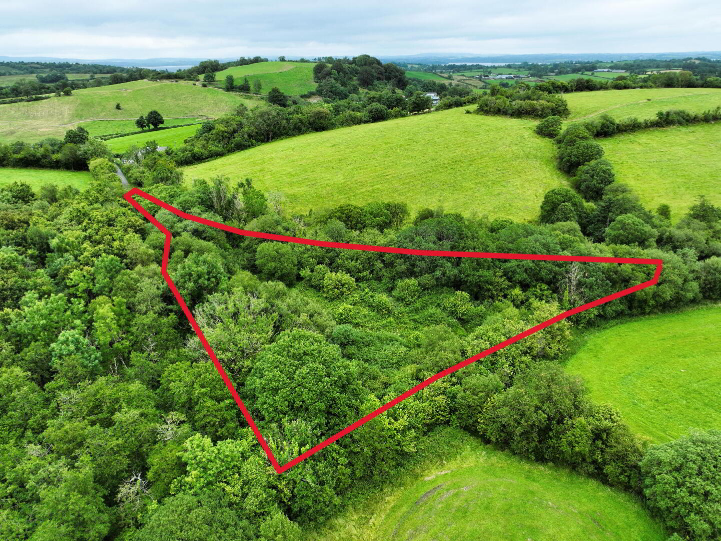 C. 1.15 Ac Woodland @ Drumary 3 of 7