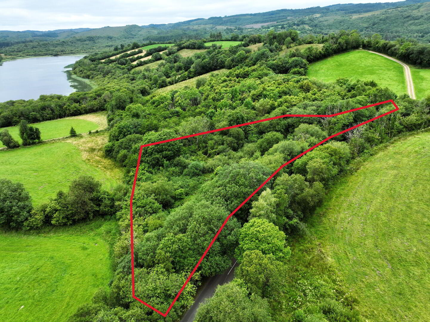 C. 1.15 Ac Woodland @ Drumary 2 of 7