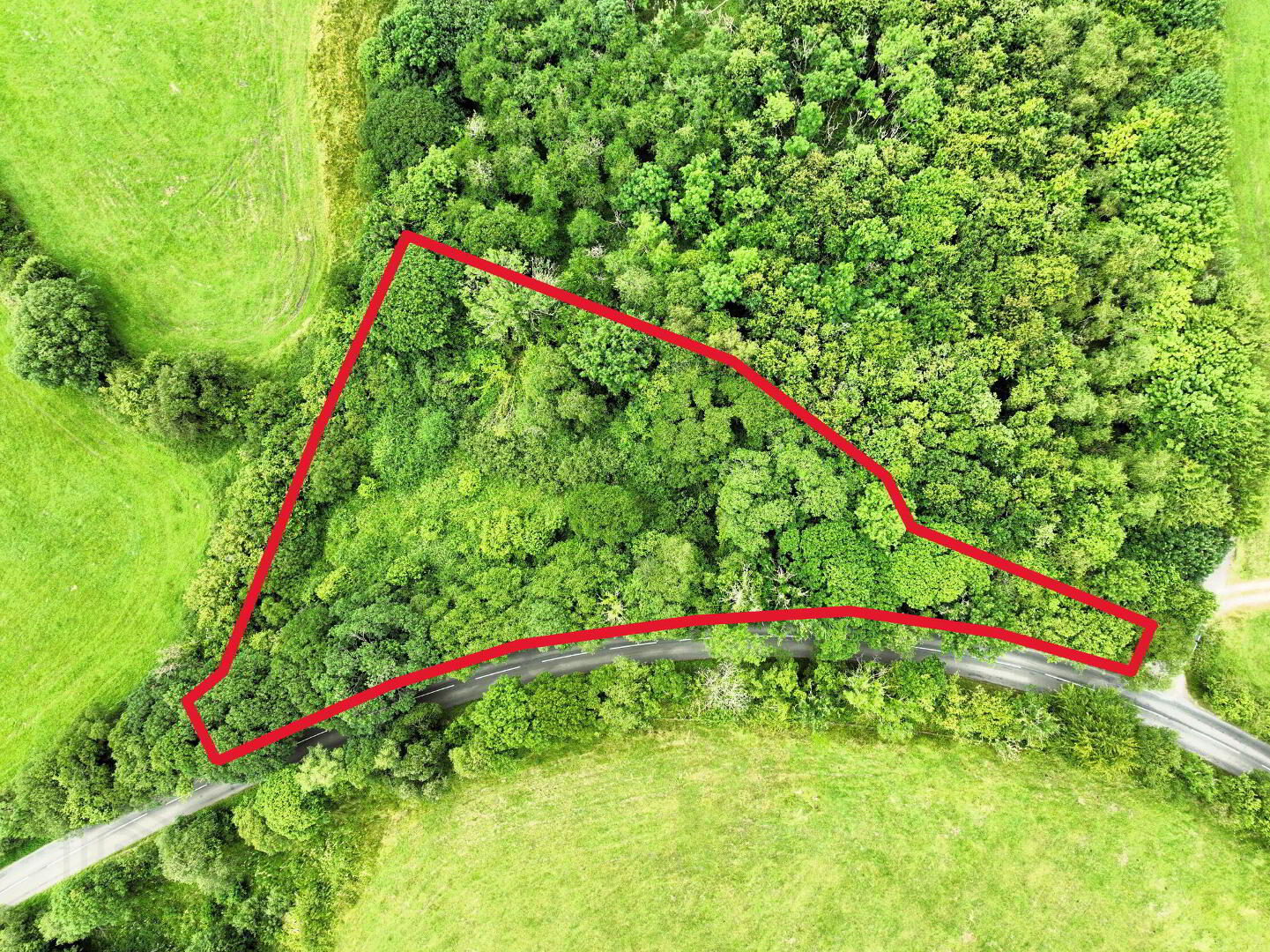 C. 1.15 Ac Woodland @ Drumary 7 of 7