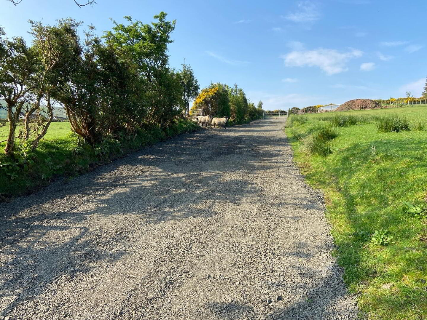 Mullinaskeagh, Gault's Road 13 of 13