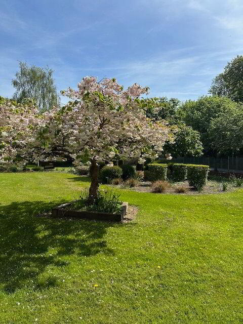 11 Beverton Court 12 of 13