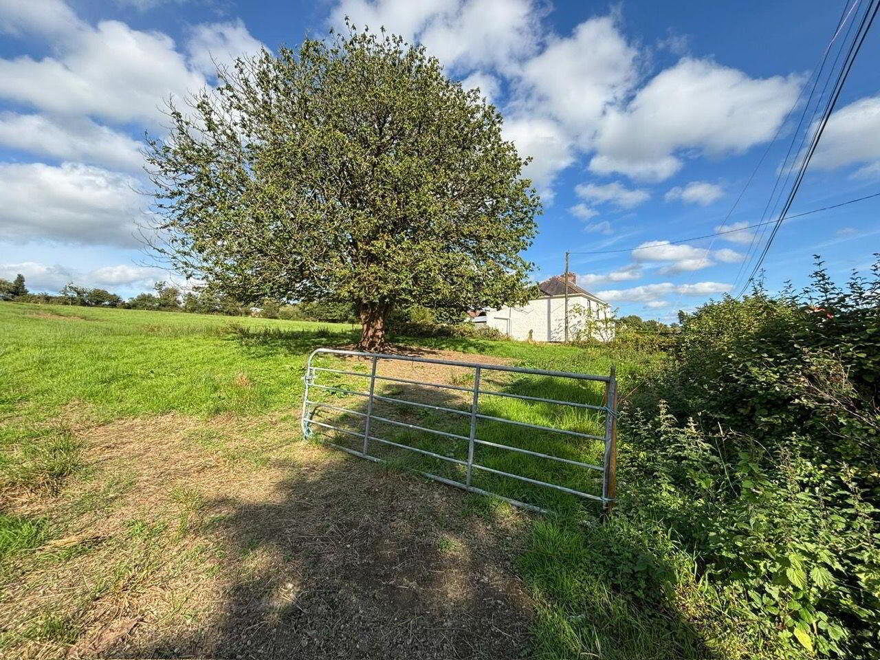 Ballyduffy 8 of 9