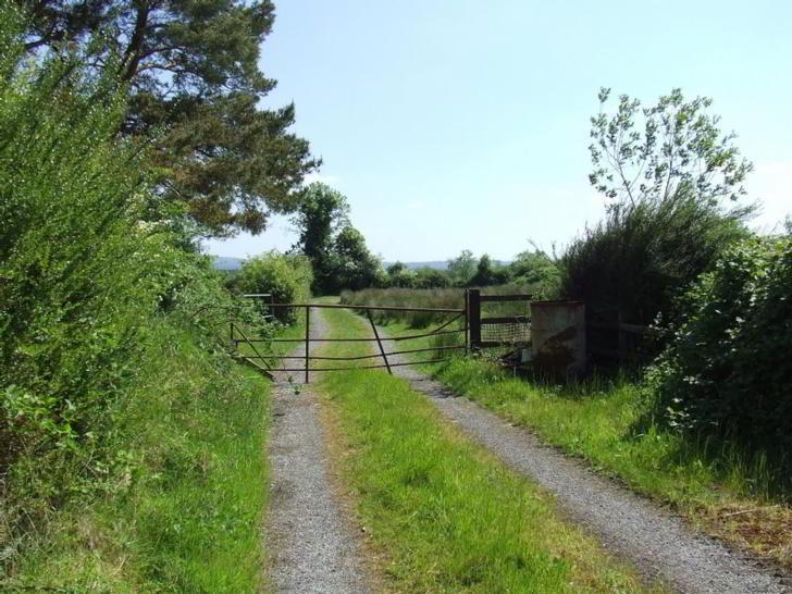 Annaghmore 11 of 12