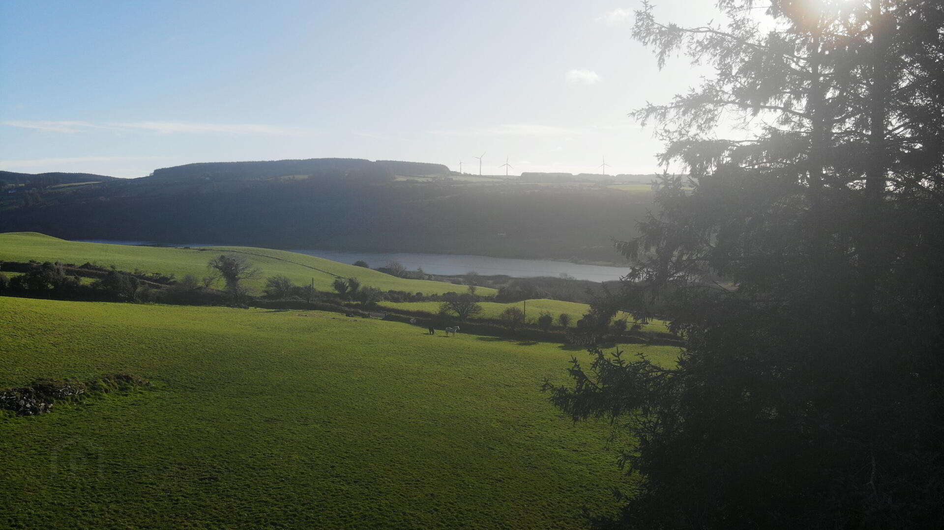 Drinagh West 7 of 8