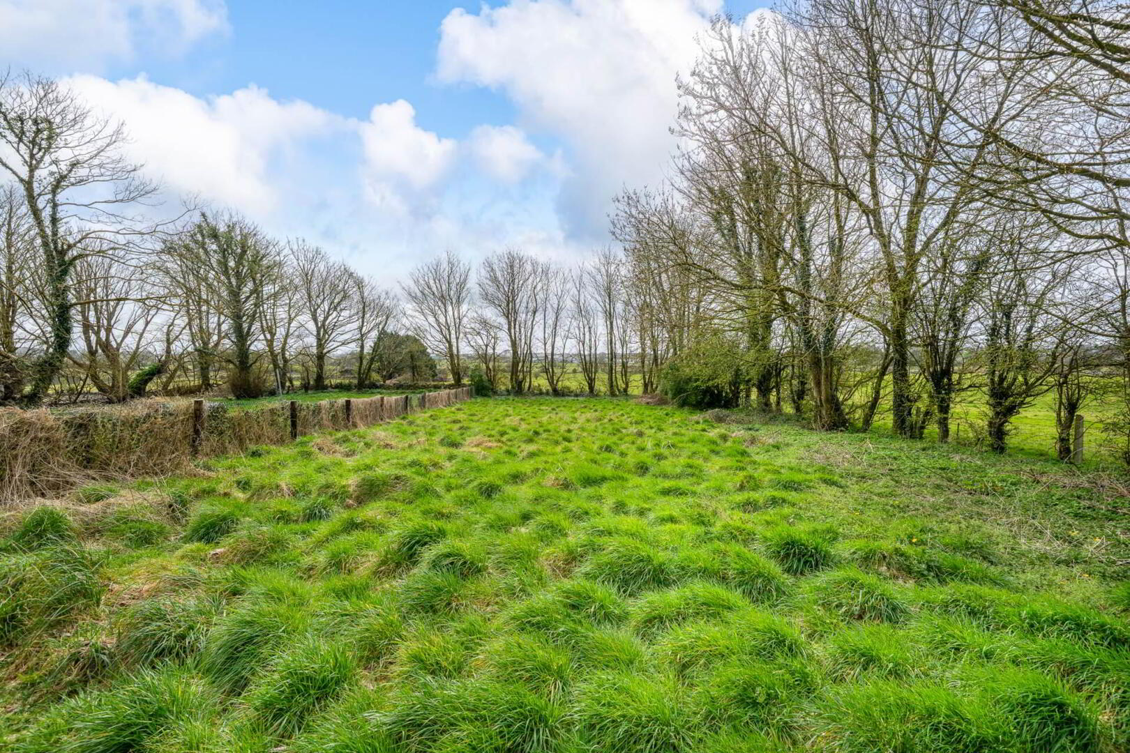Ballymote Road 3 of 29