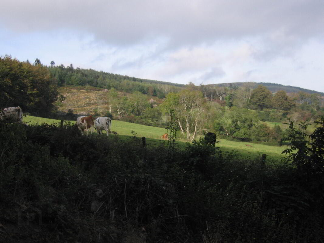 Altidore Castle Gate Lodge 27 of 27