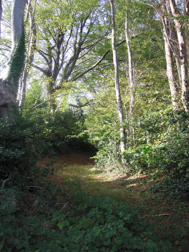 Altidore Castle Gate Lodge 26 of 27