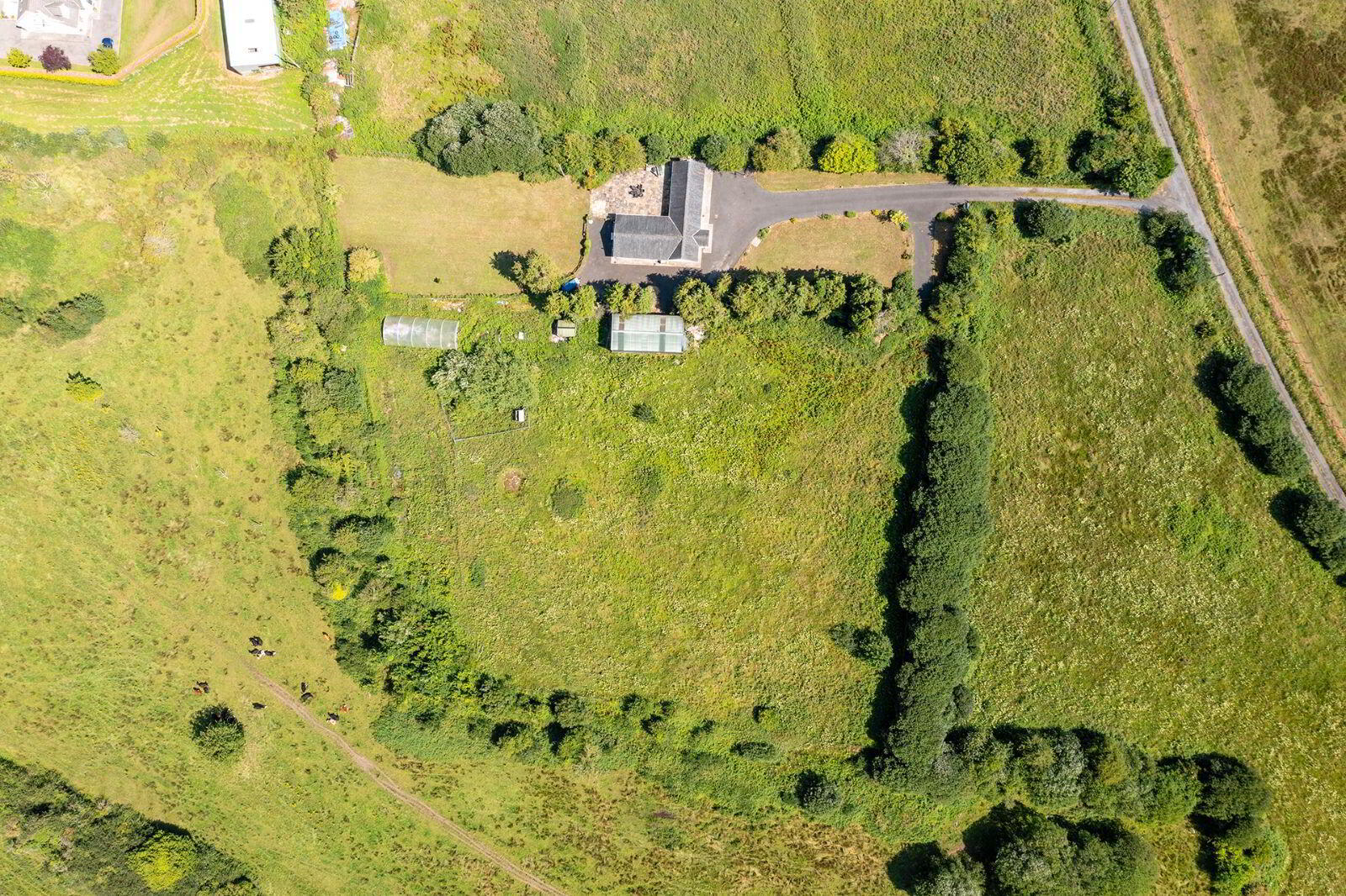 Gort Na Greine 34 of 35
