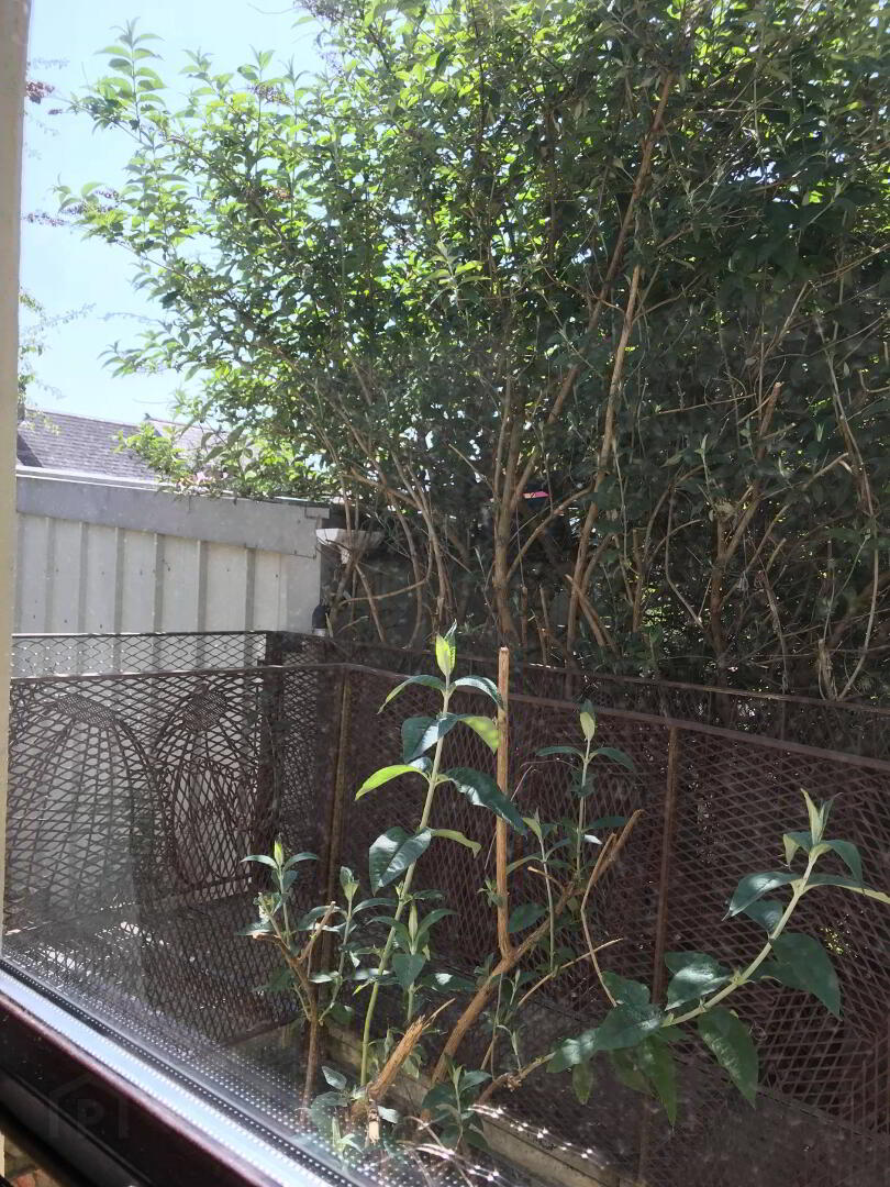 B, 23 Gray's Hill 7 of 7